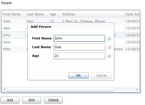 Silverlight .NET Web Application with DataForm